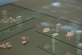 Fossil of Contact - Megumi Matsubara - Aichi Triennale 2016 (25)