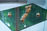 Fossil of Contact - Megumi Matsubara - Aichi Triennale 2016 (35)