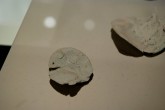 Fossil of Contact - Megumi Matsubara - Aichi Triennale 2016 (26)