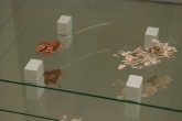 Fossil of Contact - Megumi Matsubara - Aichi Triennale 2016 (24)