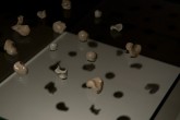 Fossil of Contact - Megumi Matsubara - Aichi Triennale 2016 (12)